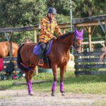 Philip and Lucy 2019 Halloween Show Cocoa Florida 1